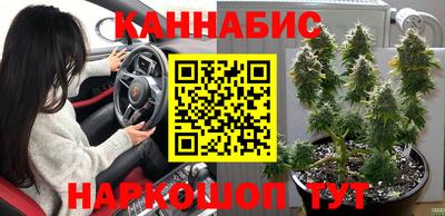 МДПВ Кунгур