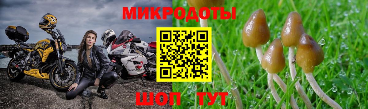 продажа наркотиков  Вход с VPN  Выкса  Галлюциногенные грибы Cubensis 